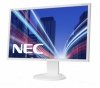 Monitor 22 cale E223W W-LED DVI, 5ms biały